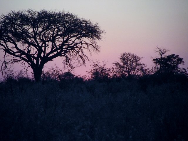 Botswana 077